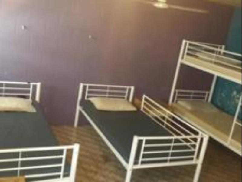הוסטל Asylum Cairns Share House מראה חיצוני תמונה